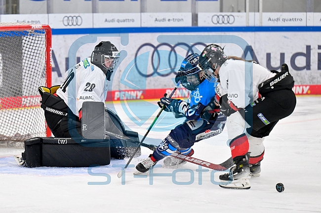 Eishockey, Frauen, DFEL, Saison 2025-2026, ERC Ingolstadt - HK Budapest, 15.11.2025