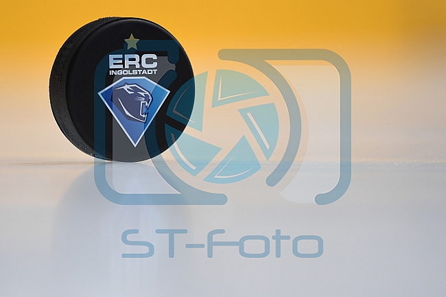 ERC Ingolstadt vs Adler Mannheim, Eishockey, DEL, Deutsche Eishockey Liga, Spieltag 46, 10.02.2017
