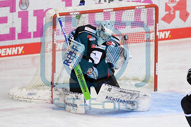 Eishockey, Herren, DEL, Saison 2020-2021, Straubing Tigers - ERC Ingolstadt, 31.01.2021