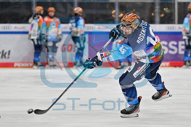 Eishockey, Frauen, DFEL, Saison 2024-2025, ERC Ingolstadt - Eisbären Berlin, 15.02.2025