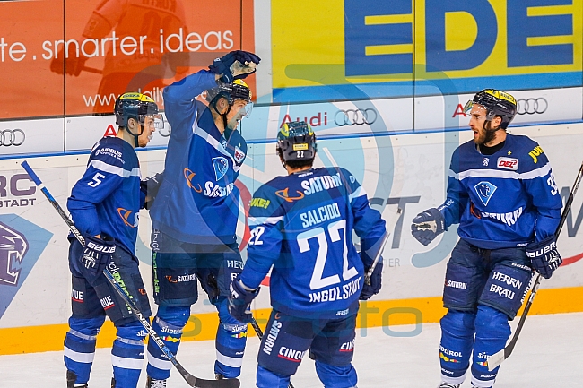ERC Ingolstadt vs Schwenninger Wild Wings Eishockey, DEL, Deutsche Eishockey Liga, Spieltag 25, 04.12.2016