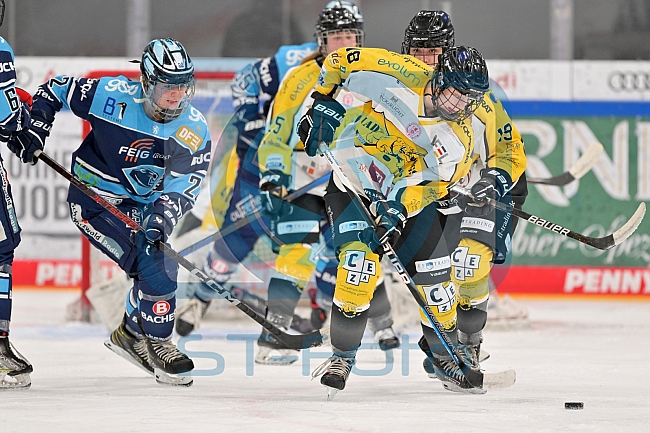 Eishockey, Frauen, DFEL, Halbfinale, Saison 2022-2023, ERC Ingolstadt - Mad Dogs Mannheim, 25.02.2023