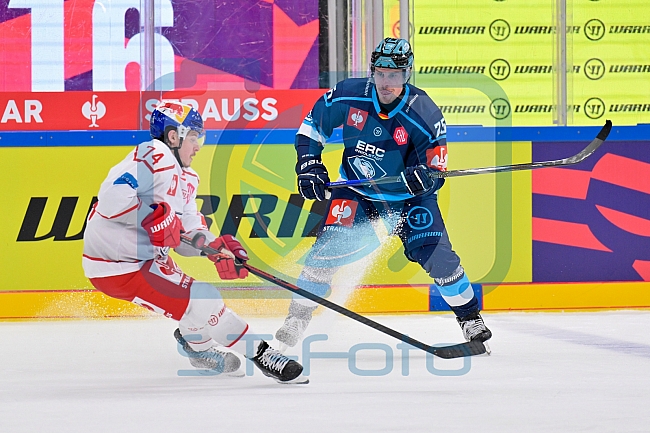 Hockey, Mens, CHL, Season 2025-2026, Regular Season, Round of 16, ERC Ingolstadt - EC Red Bull Salzburg, 12.11.2025