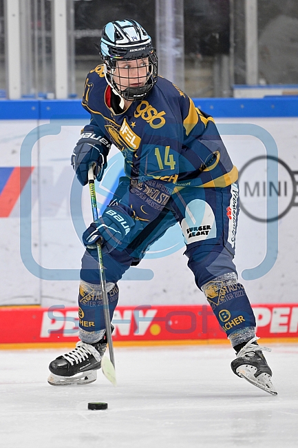 Eishockey, Frauen, DFEL, Saison 2022-2023, ERC Ingolstadt - EC Bergkamener Bären, 18.02.2023