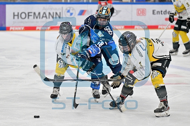 Eishockey, Frauen, DFEL, Saison 2023-2024, ERC Ingolstadt - Mad Dogs Mannheim, 18.02.2024