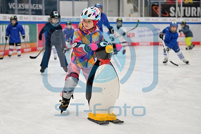 Eishockey, Herren, DEL, Saison 2022-2023, ERC Ingolstadt - Kids On Ice Day, 19.11.2022