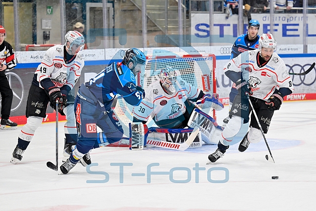 Eishockey, Herren, DEL, Saison 2025-2026, Spiel 47, ERC Ingolstadt - Nürnberg Ice Tigers, 01.03.2026