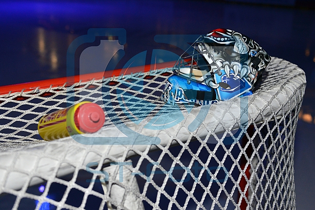 ERC Ingolstadt vs Hamburg Freezers, Eishockey, DEL, Deutsche Eishockey Liga, 10.01.2016