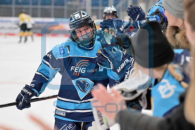Eishockey, Frauen, DFEL, Halbfinale, Saison 2022-2023, ERC Ingolstadt - Mad Dogs Mannheim, 25.02.2023