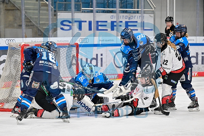 Eishockey, Frauen, DFEL, Saison 2025-2026, ERC Ingolstadt - HK Budapest, 15.11.2025