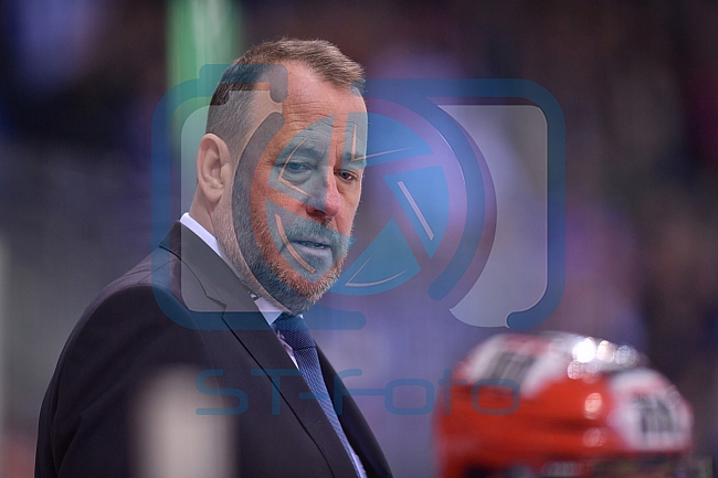 ERC Ingolstadt vs Schwenninger Wild Wings, DEL, Deutsche Eishockey Liga, Spieltag 48, 19.02.2019