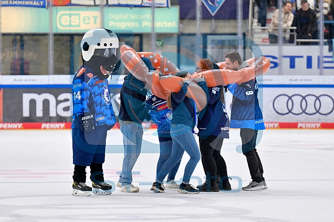 Eishockey, Herren, DEL, Saison 2025-2026, Spiel 7, ERC Ingolstadt - Straubing Tigers, 03.10.2025