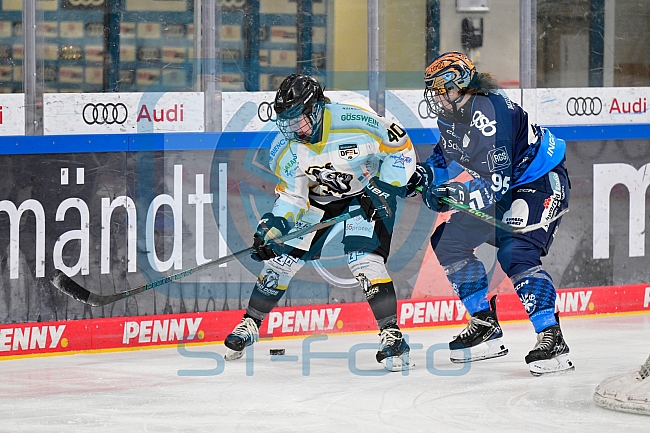 Eishockey, Frauen, DFEL, Saison 2024-2025, ERC Ingolstadt - Mad Dogs Mannheim, 23.11.2024