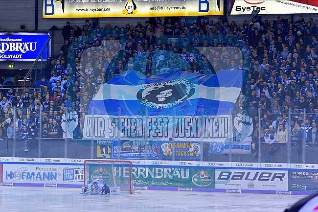 ERC Ingolstadt vs Adler Mannheim, DEL, Deutsche Eishockey Liga, Spieltag 32, 28.12.2019