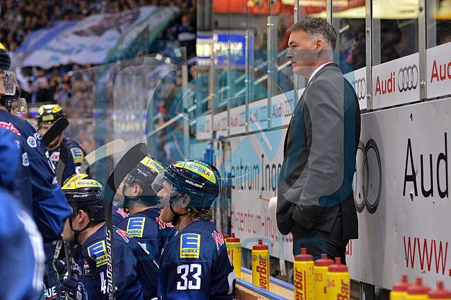 ERC Ingolstadt vs Hamburg Freezers, Eishockey, DEL, Deutsche Eishockey Liga, 10.01.2016