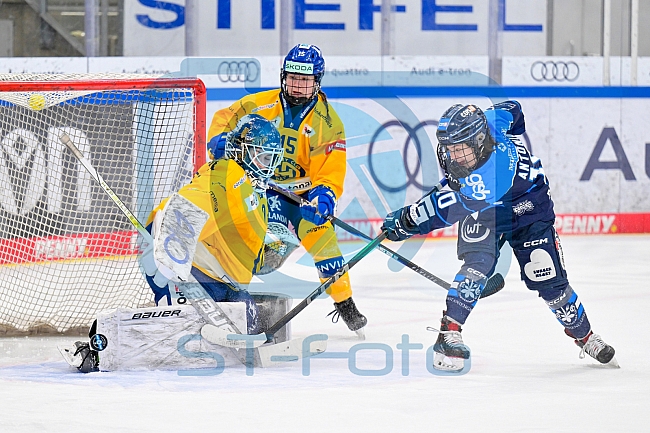 Eishockey, Frauen, DFEL, Saison 2025-2026, Testspiel, ERC Ingolstadt - HC Davos, 14.02.2026