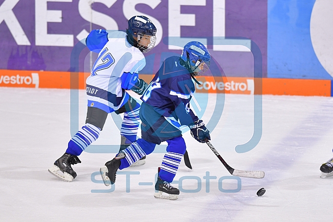 ERC Ingolstadt vs Iserlohn Roosters, DEL, Deutsche Eishockey Liga, Spieltag 39, 13.01.2019