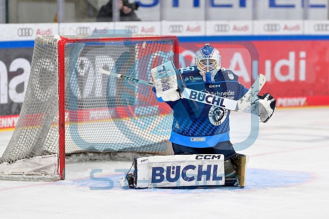 Eishockey, Frauen, DFEL, Saison 2024-2025, ERC Ingolstadt - ECDC Memmingen Indians, 16.11.2024