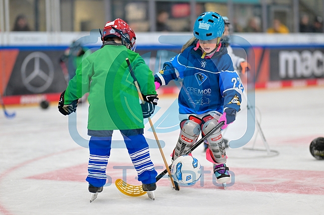 Eishockey, Saison 2025-2026, ERC Ingolstadt - Kids On Ice Day, 29.11.2025