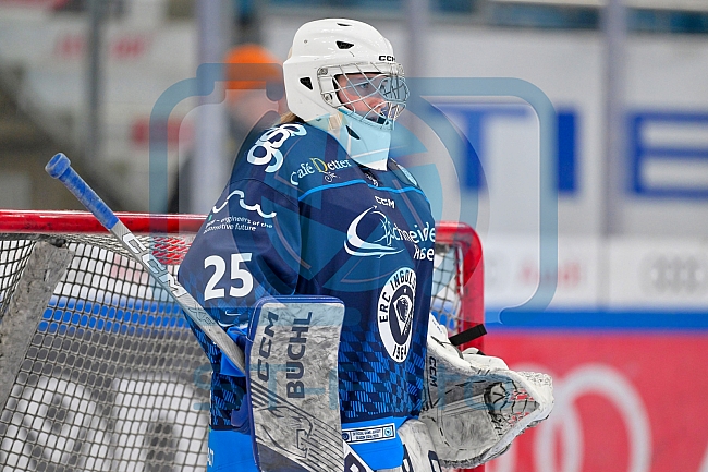 Eishockey, Frauen, DFEL, Saison 2024-2025, ERC Ingolstadt - EC Bergkamener Bären, 05.01.2025