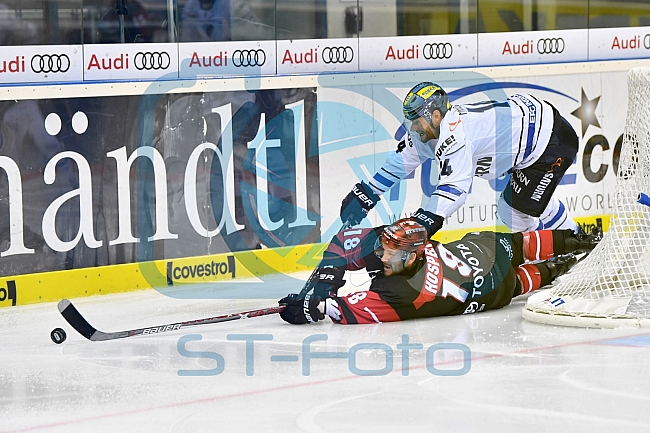 ERC Ingolstadt vs Koelner Haie, Eishockey, DEL, Deutsche Eishockey Liga, Spieltag 11, 08.10.2017