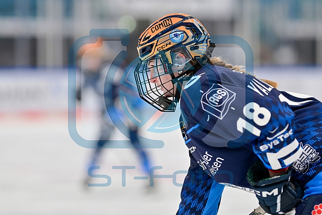 Eishockey, Frauen, DFEL, Saison 2024-2025, ERC Ingolstadt - ECDC Memmingen Indians, 16.11.2024