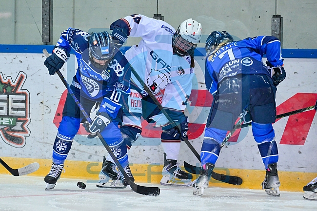 Eishockey, Frauen, DFEL, Saison 2026-2027, ERC Ingolstadt - Eisbären Juniors Berlin, 20.09.2026