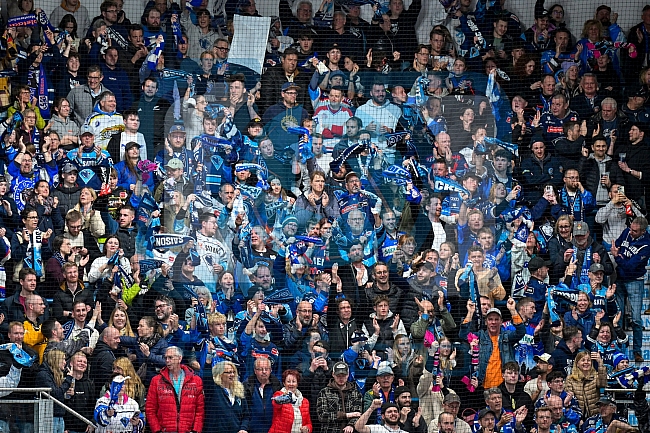 Eishockey, Herren, DEL, Saison 2024-2025, Playoffs Halbfinale, Spiel 1, ERC Ingolstadt - Kölner Haie, 02.04.2025