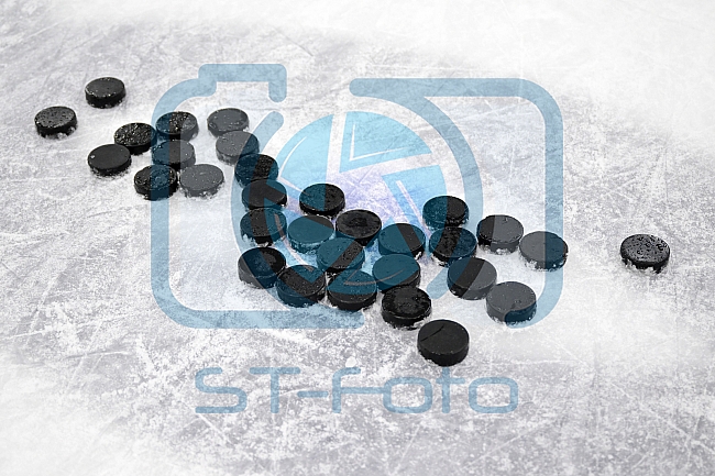 Eishockey, Herren, DEL, Saison 2022-2023, ERC Ingolstadt - Showtraining & Dauerkartenüberge, 07.08.2022