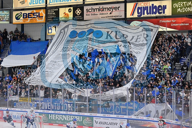 Eishockey, Herren, DEL, Saison 2022-2023, Playoff-Halbfinale - Spiel 1, ERC Ingolstadt - Adler Mannheim, 31.03.2023
