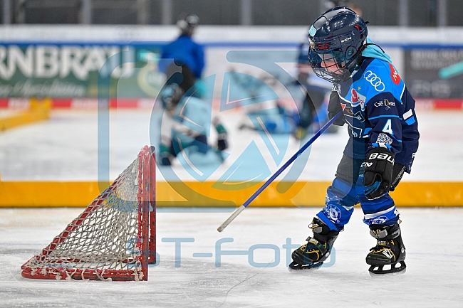 Eishockey, Saison 2025-2026, ERC Ingolstadt - Kids On Ice Day, 10.01.2026