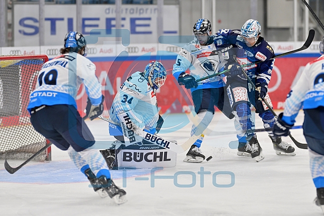 Eishockey, Herren, DEL, Saison 2024-2025, Vorbereitung, ERC Ingolstadt - Dresdner Eislöwen, 18.08.2024