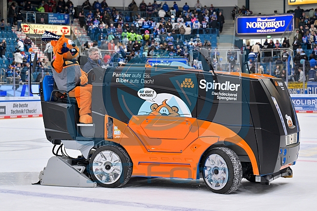 Eishockey, Herren, DEL, Saison 2025-2026, Spiel 21, ERC Ingolstadt - Pinguins Bremerhaven, 23.11.2025