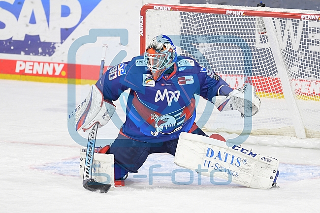 Eishockey, Herren, DEL, Saison 2020-2021, Adler Mannheim - ERC Ingolstadt, 15.02.2021