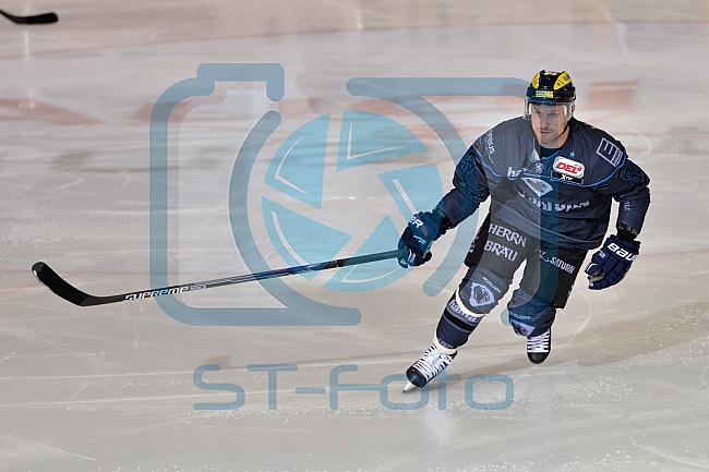 ERC Ingolstadt vs Schwenninger Wild Wings, Eishockey, DEL, Deutsche Eishockey Liga, 22.01.2016