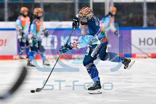 Eishockey, Frauen, DFEL, Saison 2024-2025, ERC Ingolstadt - ECDC Memmingen Indians, 16.11.2024