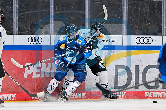 Eishockey, Herren, U20 DNL, Saison 2025-2026, ERC Ingolstadt - ESC Dresden, 14.02.2026