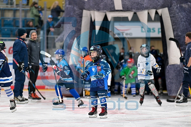 Eishockey, Saison 2025-2026, ERC Ingolstadt - Kids On Ice Day, 29.11.2025