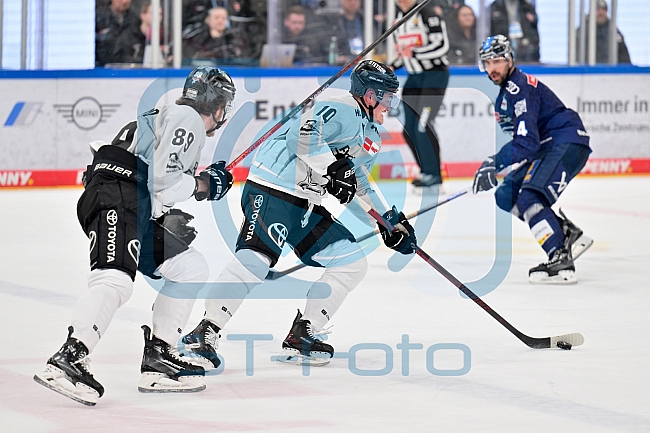 Eishockey, Herren, DEL, Saison 2024-2025, Playoffs Halbfinale, Spiel 5, ERC Ingolstadt - Kölner Haie, 11.04.2025