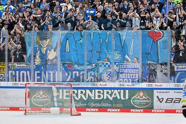 Eishockey, Herren, DEL, Saison 2023-2024, Playoffs Viertelfinale - Spiel 4, ERC Ingolstadt - Fischtown Pinguins , 24.03.2024