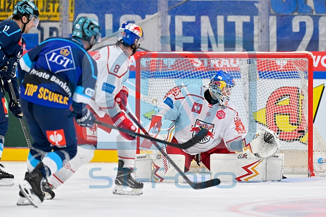 Hockey, Mens, CHL, Season 2025-2026, Regular Season, Round of 16, ERC Ingolstadt - EC Red Bull Salzburg, 12.11.2025