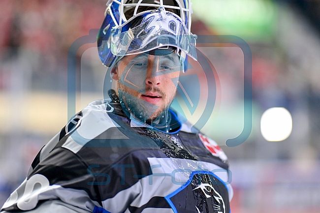 Eishockey, Herren, DEL, Saison 2024-2025, Playoffs Halbfinale, Spiel 3, ERC Ingolstadt - Kölner Haie, 06.04.2025