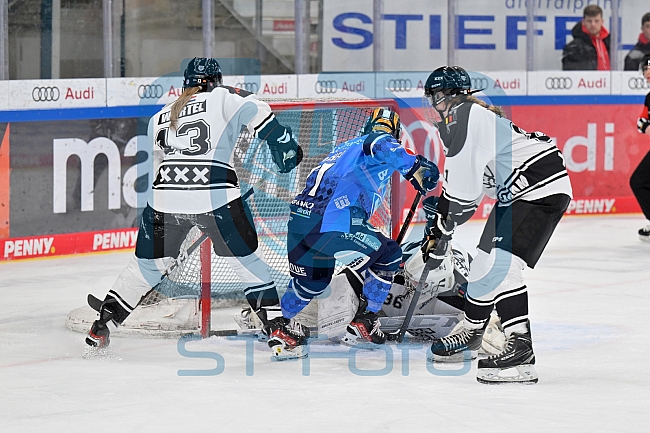 Eishockey, Frauen, DFEL, Saison 2023-2024, ERC Ingolstadt - Amsterdam Tigers, 06.01.2024