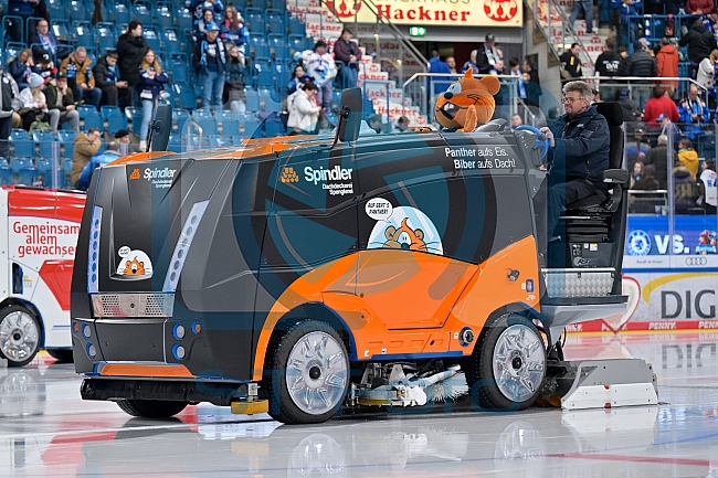 Eishockey, Herren, DEL, Saison 2025-2026, Spiel 21, ERC Ingolstadt - Pinguins Bremerhaven, 23.11.2025