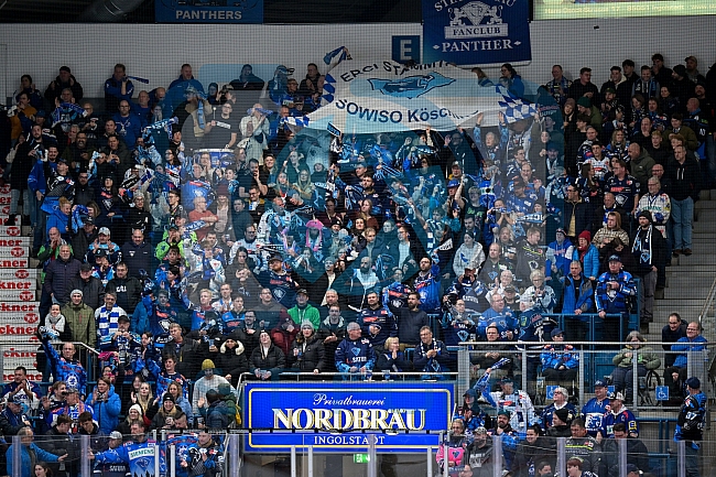 Eishockey, Herren, DEL, Saison 2025-2026, Spiel 22, ERC Ingolstadt - Eisbären Berlin, 26.11.2025