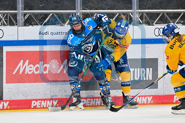 Eishockey, Frauen, DFEL, Saison 2025-2026, Testspiel, ERC Ingolstadt - HC Davos, 14.02.2026