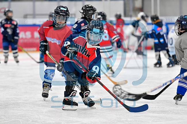 Eishockey, Saison 2025-2026, ERC Ingolstadt - Kids On Ice Day, 10.01.2026
