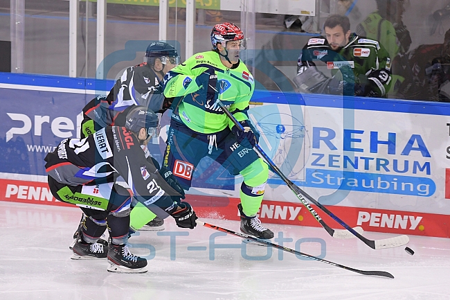 Eishockey, Herren, DEL, Saison 2020-2021, Straubing Tigers - ERC Ingolstadt, 31.01.2021