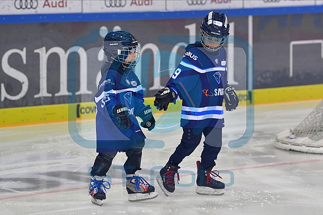 ERC Ingolstadt vs Krefeld Pinguine, DEL, Deutsche Eishockey Liga, Spieltag 39, 19.01.2020