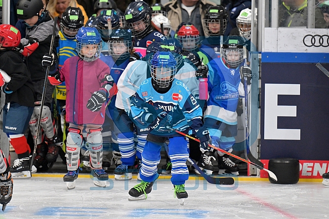 Eishockey, Herren, DEL, Saison 2023-2024, ERC Ingolstadt - Kids on Ice Day, 18.11.2023